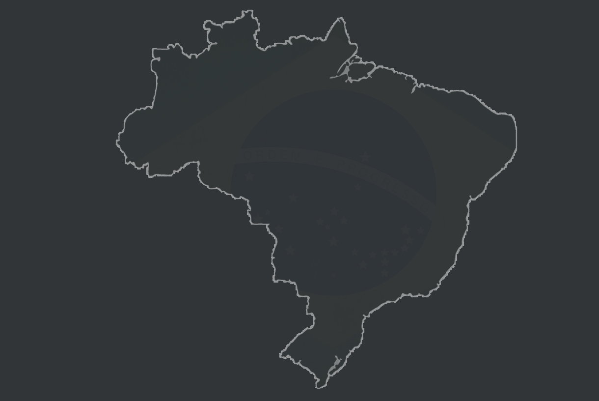 imagem_brasil_vaxel (1)
